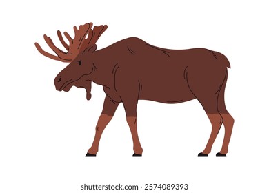 Large deer with palmate antlers, isolated walking moose. Vector personage from zoo, wilderness and habitat. Portrait of mammal character. Forest woods animals, wildlife and natural fauna