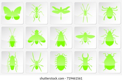 Large and detailed icons of different insects.