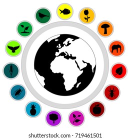 Large and detailed icons of different natural things