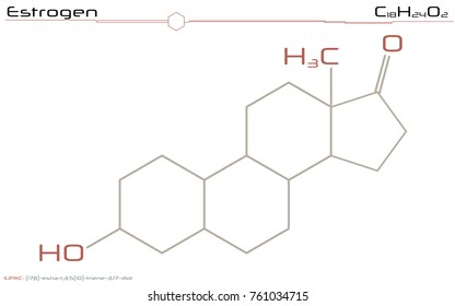 Large and detailed illustration of the molecule of Estrogen