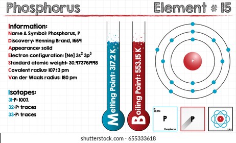 Large and detailed infographic of the element of Phosphorus.