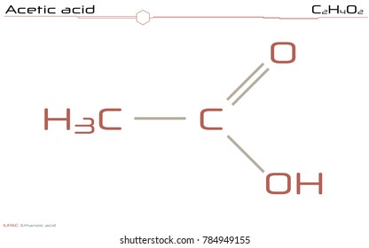Large and detailed infographic of the molecule of Acetic acid.