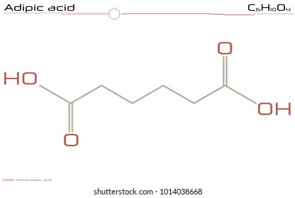 Large and detailed infographic of the molecule of Adipic acid