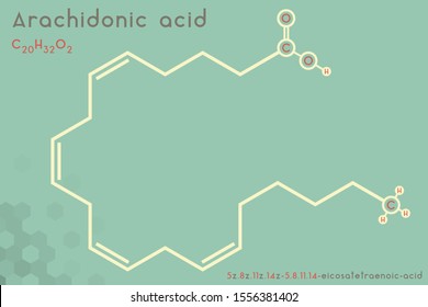 Large and detailed infographic of the molecule of Arachidonic acid.