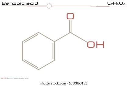 Large and detailed infographic of the molecule of Benzoic acid