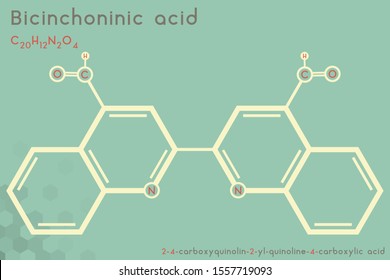 Large and detailed infographic of the molecule of Bicinchoninic acid.