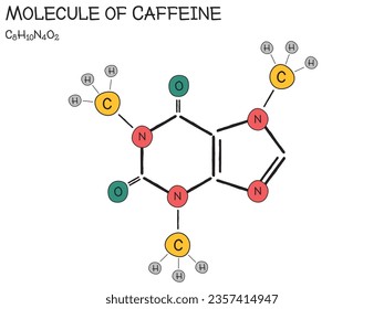 Infografía extensa y detallada de la molécula de la cafeína