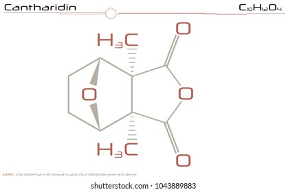 Large And Detailed Infographic Of The Molecule Of Cantharidin