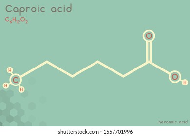 Large and detailed infographic of the molecule of Caproic acid.