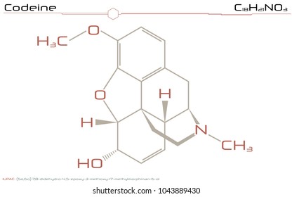 Large and detailed infographic of the molecule of Codeine svg