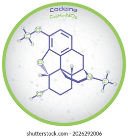 Large and detailed infographic of the molecule of Codeine svg