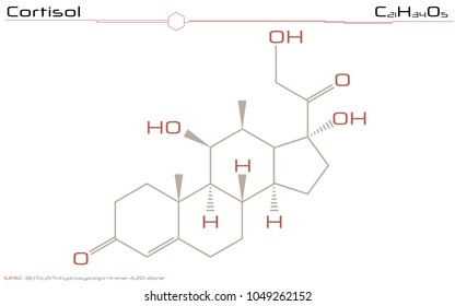 Large and detailed infographic of the molecule of Cortisol