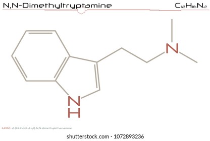 Large And Detailed Infographic Of The Molecule Of Dimethyltryptamine.