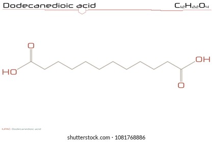 Large and detailed infographic of the molecule of Dodecanedioic acid.