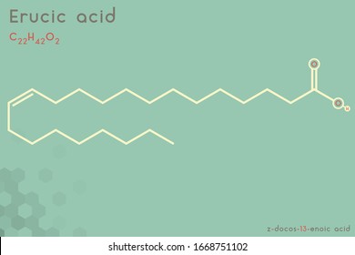 Infografía grande y detallada de la molécula de ácido erúcico.