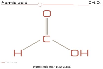 Large and detailed infographic of the molecule of Formic acid.