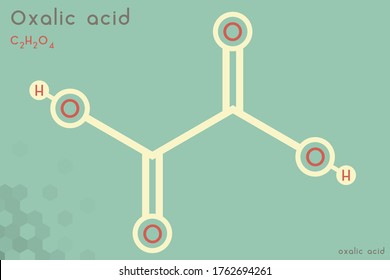 Large and detailed infographic of the molecule of Oxalic acid.