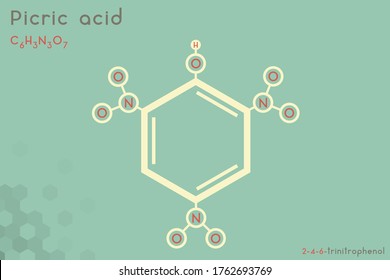 Large and detailed infographic of the molecule of Picric acid.