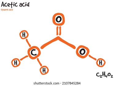 Large and detailed isolated drawn molecule and formular of acetic acid.