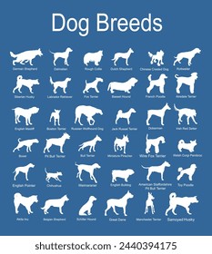Large dog breed set collection vector silhouette illustration isolated on blue background: pit bull terrier, wire fox terrier, welsh corgi Pembroke , cardigan, Manchester terrier... Dog shape shadow.