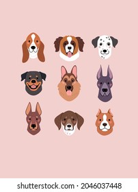 Large Dog Breeds Faces collection. Vector illustration of funny cartoon different breeds dogs in trendy flat style. Isolated on light pink background.