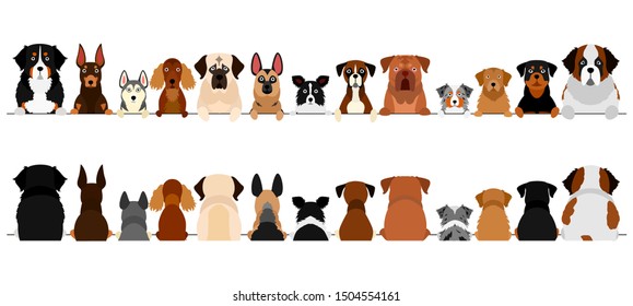 large dogs border set, upper body, front and back