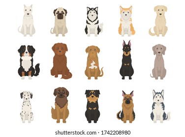 Large dogs set of illustration. Front view of different dogs. Vector.