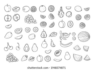 Large doodle set of natural tropical and citrus fruits in hand drawn style. Whole, cut into halves and parts. Vegan, vegetarian food. Organic food, healthy eating icons. Collection vector illustration