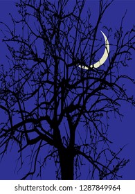 Large ebony at night on the background of the new month. Night landscape: ebony, dark blue sky, and the moon.