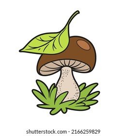 Large edible mushroom in the grass covered with a leaf from above color variation for coloring page isolated on white background