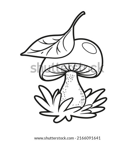 Large edible mushroom in the grass covered with a leaf from above linear drawing for coloring isolated on white background