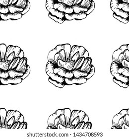Large ellegant seamless pattern with roses. Botanical texture big flowers