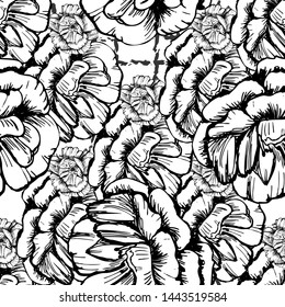 Large ellegant seamless pattern with roses. Botanical texture big flowers