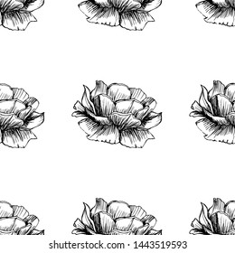 Large ellegant seamless pattern with roses. Botanical texture big flowers