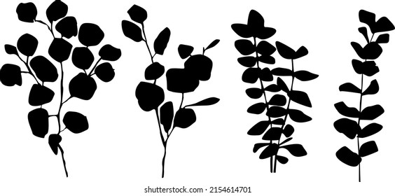 Large Eucalyptus silhouette set isolated on white background. Set of eucalyptus twigs. Eucalyptus leaf clipart. Botany illustration.  Black hand drawn eucalyptus branches with leaves silhouette set