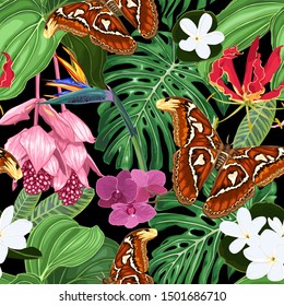 Large exotic butterflies, orchids, strelitzia, tropical leaves and flowers. Vector seamless pattern on a dark background.