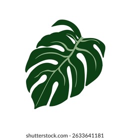 Large exotic monstera leaf. Big tropical green plant. Botanical design element, natural organic decoration. Decorative greenery, foliage. Flat vector illustration isolated on white background