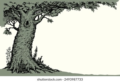Große Farm Lush Ahorn Strauch Zweig Dunkelschwarze Tinte Linie Handgezeichnete Herbst Reise Art Style. Helles ruhiges Mornleben großes Eichelblatt sogar Symbol Ansicht Rand Text Raum Ländlicher Garten See Umriss Künstler Kunstwerk