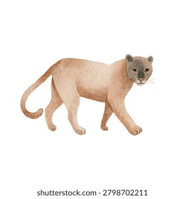 Large feline predator in motion