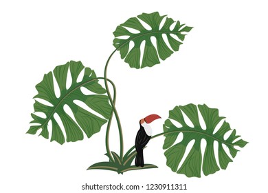 Large fern leaves on which sits a bird, the Toucan.