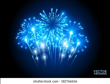 Large Fireworks Display    vector illustration 