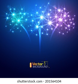 Large Fireworks Display - vector illustration. 