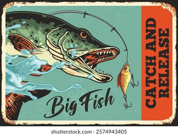 A large fish is depicted with its mouth open attached to a fishing line. The design emphasizes catch and release with vibrant colors for an eye-catching effect.