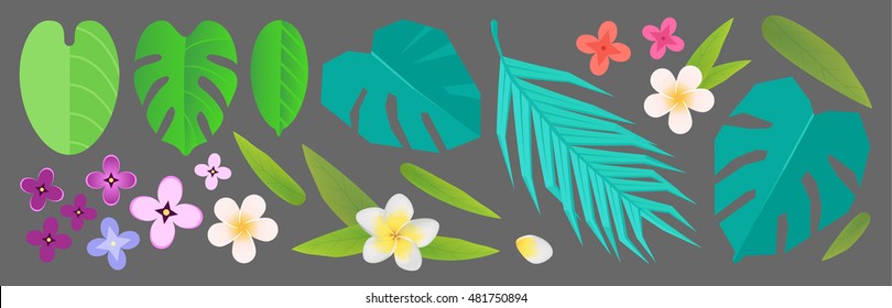 Large Flat and Realistic Tropical plants set.Vector illustration.