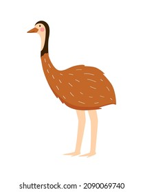 Large flightless Australian bird. Ostrich emu vector illustration in cartoon style