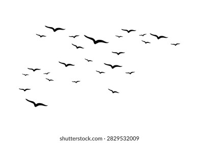 Large flock of black bird silhouettes flying across the sky, representing freedom, migration, wildlife, and nature.