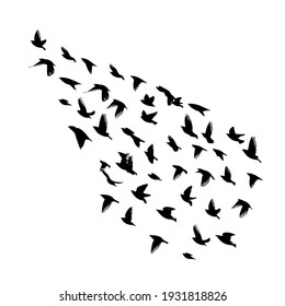 A large flock of flying birds. Free birds. Vector illustration