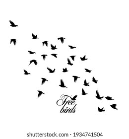 A large flock of flying birds. Free birds. Vector illustration
