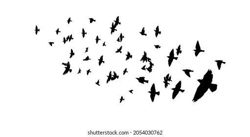 A large flock of flying birds. Free birds. Vector illustration