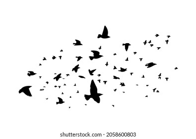 A large flock of flying birds. Free birds. Vector illustration
